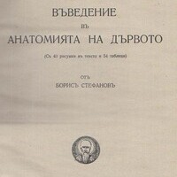 "Въведение в анатомия на дървото" 1941